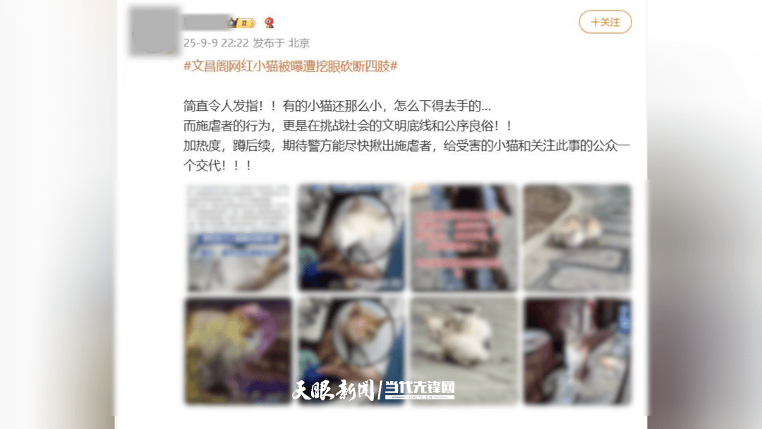 大反转<strong></p>
<p>defi钱包提现</strong>！贵阳“挖眼虐猫”事件系AI编造