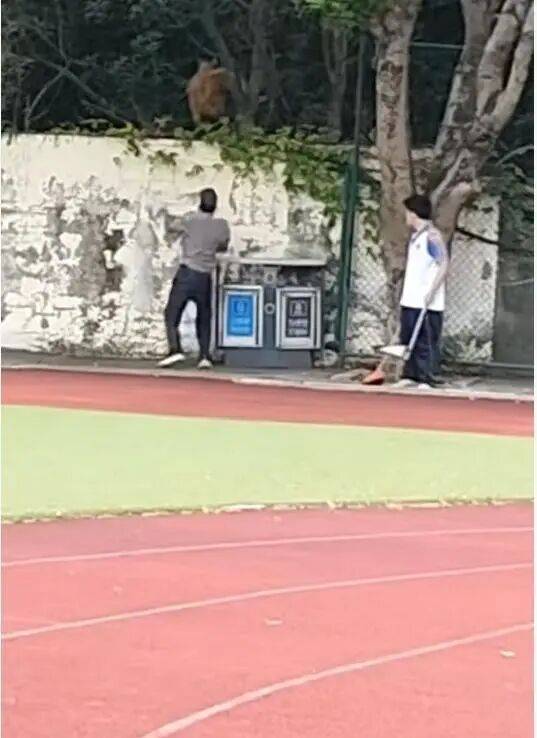 福建一公办职中保安被指当学生面<strong></p>
<p>okex交易佣金</strong>，从3米高墙扔出流浪狗！福清教育局：将核实情况