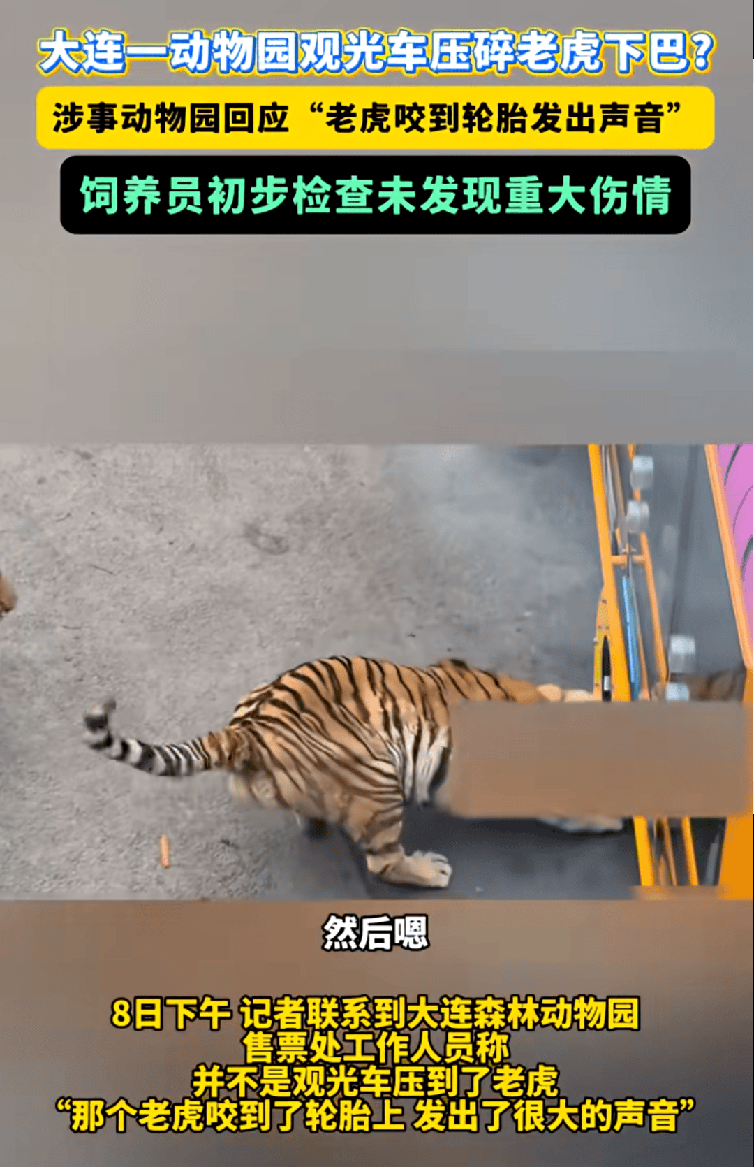 大连一动物园观光车压碎老虎下巴<strong></p>
<p>okex币官网app</strong>？涉事动物园回应：饲养员初步检查未发现重大伤情