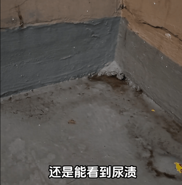上海有外卖员在楼道看着监控继续尿尿<strong></p>
<p>欧易okex平台</strong>！居民苦不堪言：第二天味道就上来了