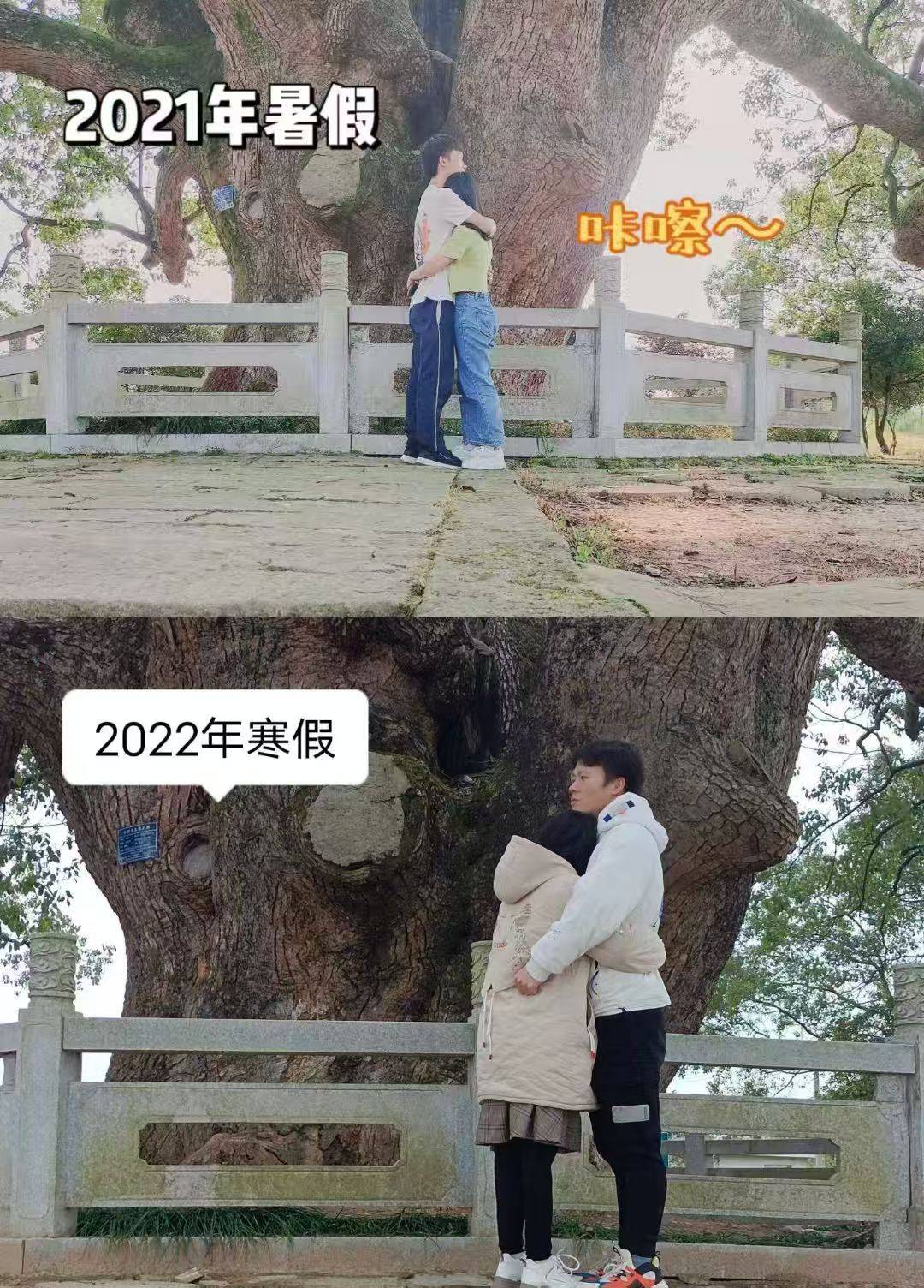 岳阳情侣连续9年在家乡千年古樟树下合影<strong></p>
<p>okex登陆官网</strong>，今年国庆终修正果：希望爱情像古树一样长久