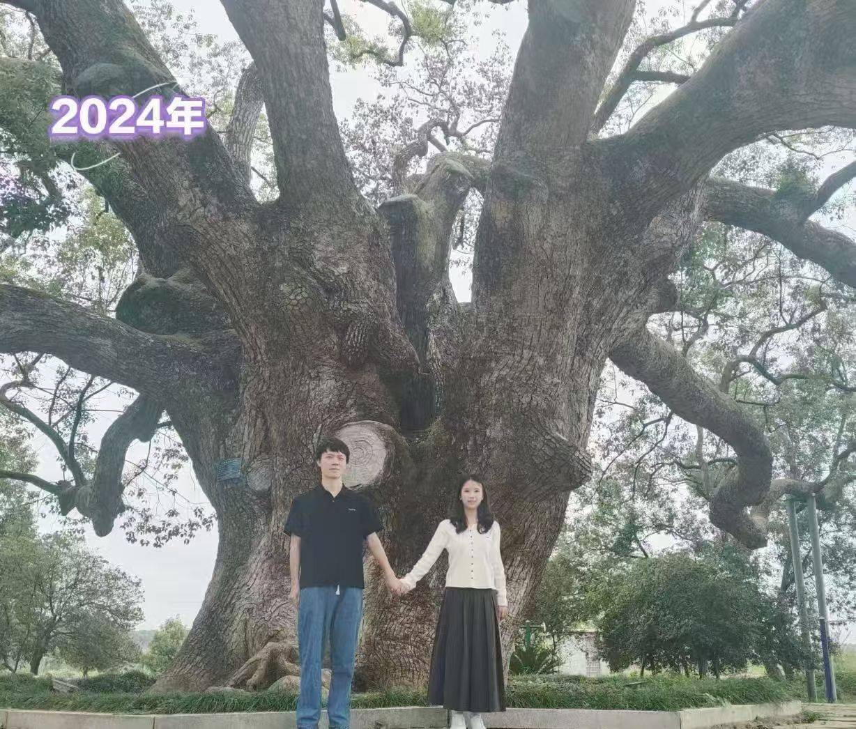 岳阳情侣连续9年在家乡千年古樟树下合影<strong></p>
<p>okex登陆官网</strong>，今年国庆终修正果：希望爱情像古树一样长久