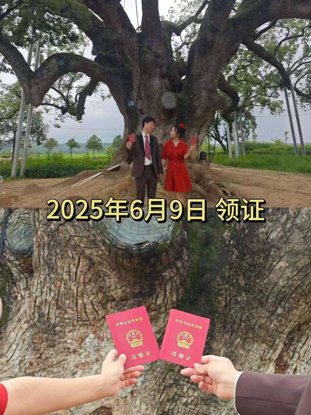 岳阳情侣连续9年在家乡千年古樟树下合影<strong></p>
<p>okex登陆官网</strong>，今年国庆终修正果：希望爱情像古树一样长久
