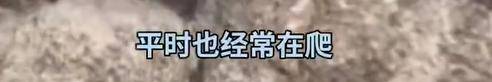 女子穿7cm高跟鞋、纱裙爬山<strong></p>
<p>eth矿池</strong>，不服输选了最难路线登顶